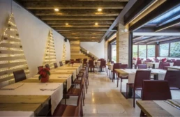 15-ANTICA-EDILIZIA-ristorante-sala-tavoli-solaio-travi-legno-antico-di-recupero-abete