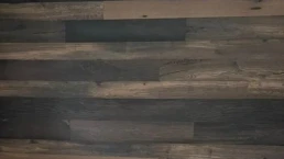 Rivestimento-fossile