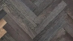 Spina-fossile